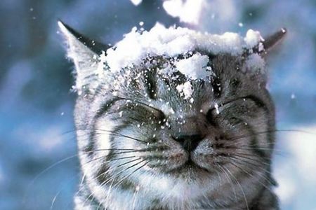Новости Монобанка за ноябрь 2018