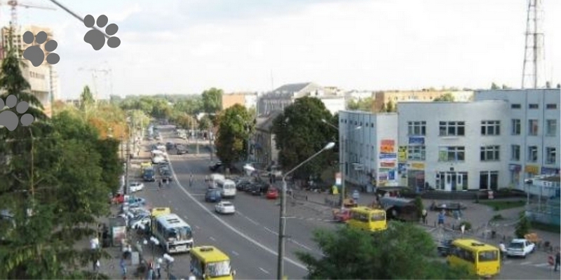Бориспіль фото части города