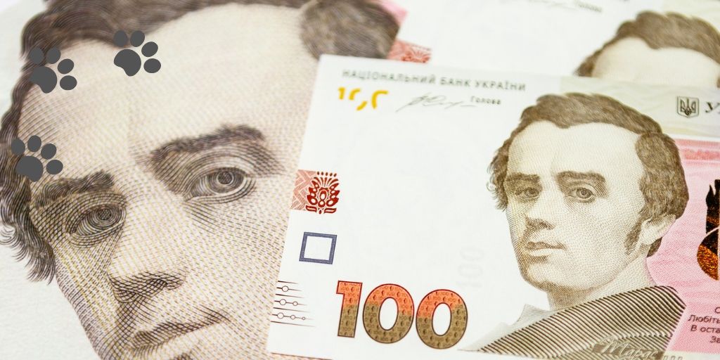 На фото купюры 100 грн крупным планом