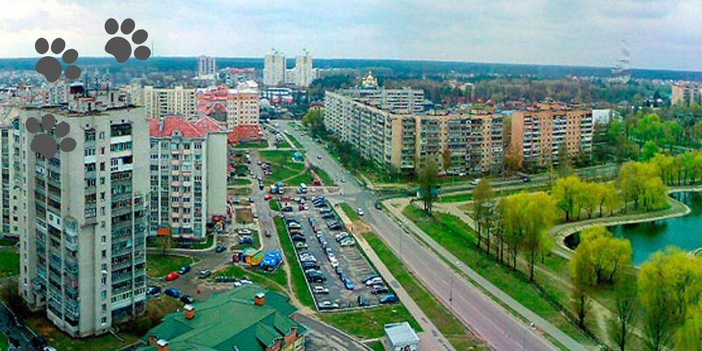 Бровары фото с высоты