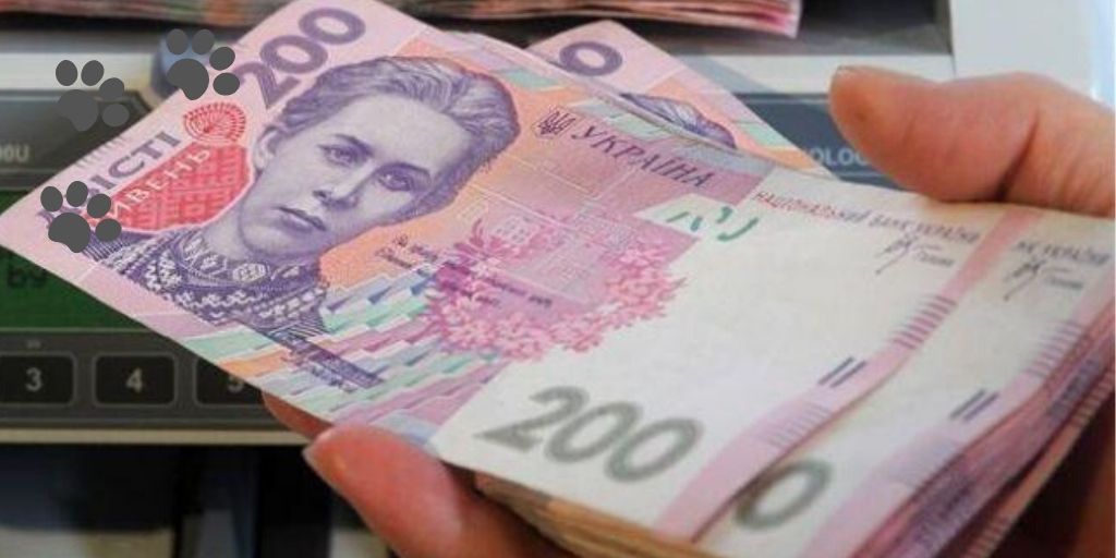 стопка купюр в 200 грн