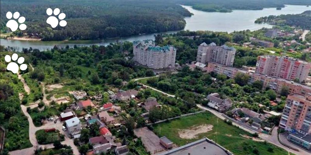 Коростень с высоты