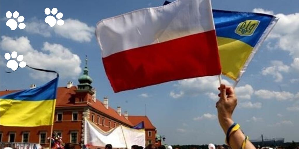 Украина и Польша флажки