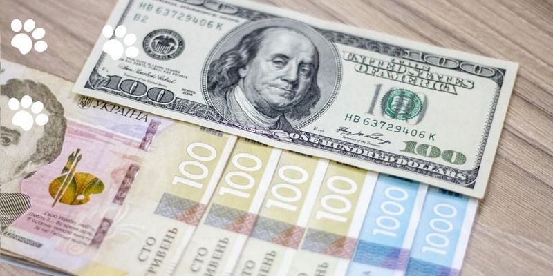 Курс доллара Монобанк