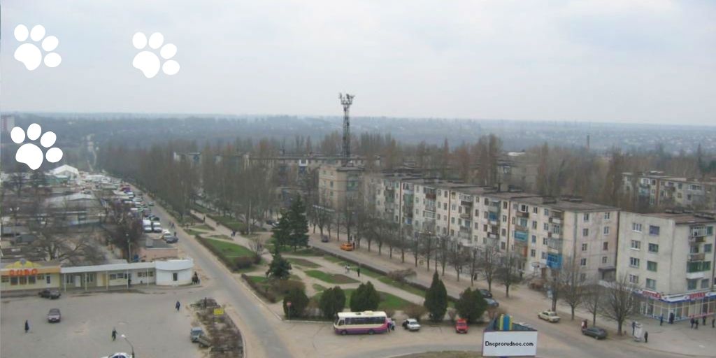 Днепрорудное и Монобанк