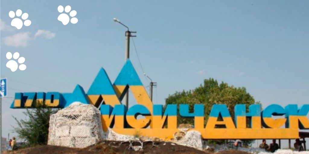 Знак Лисичанск и кот Монобанка