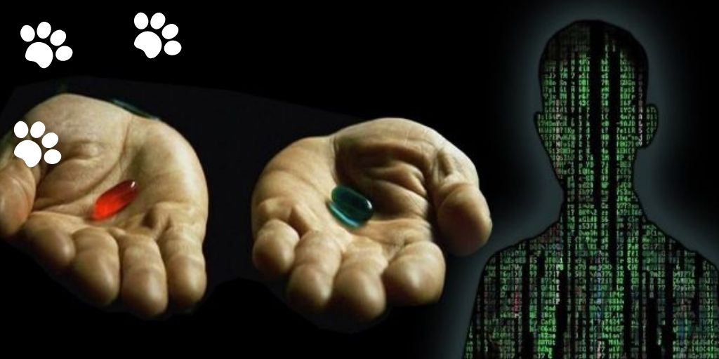 Монобанк чипировал своих клиентов